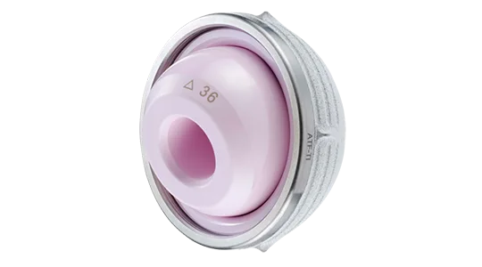 Systèmes acétabulaires Exclusif 540x300 1